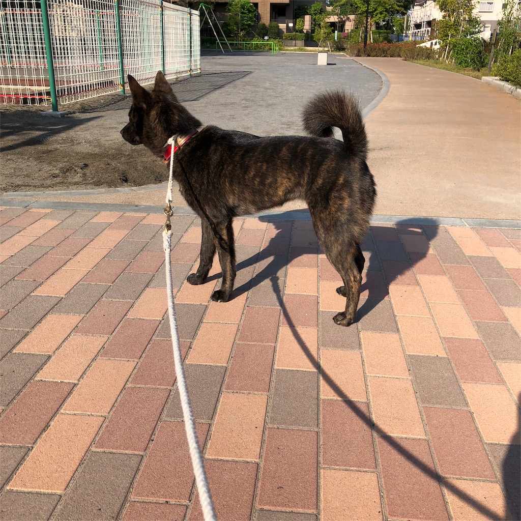 f:id:kai-koume:20180422075628j:image f:id:kai-koume:20180422075628j:image