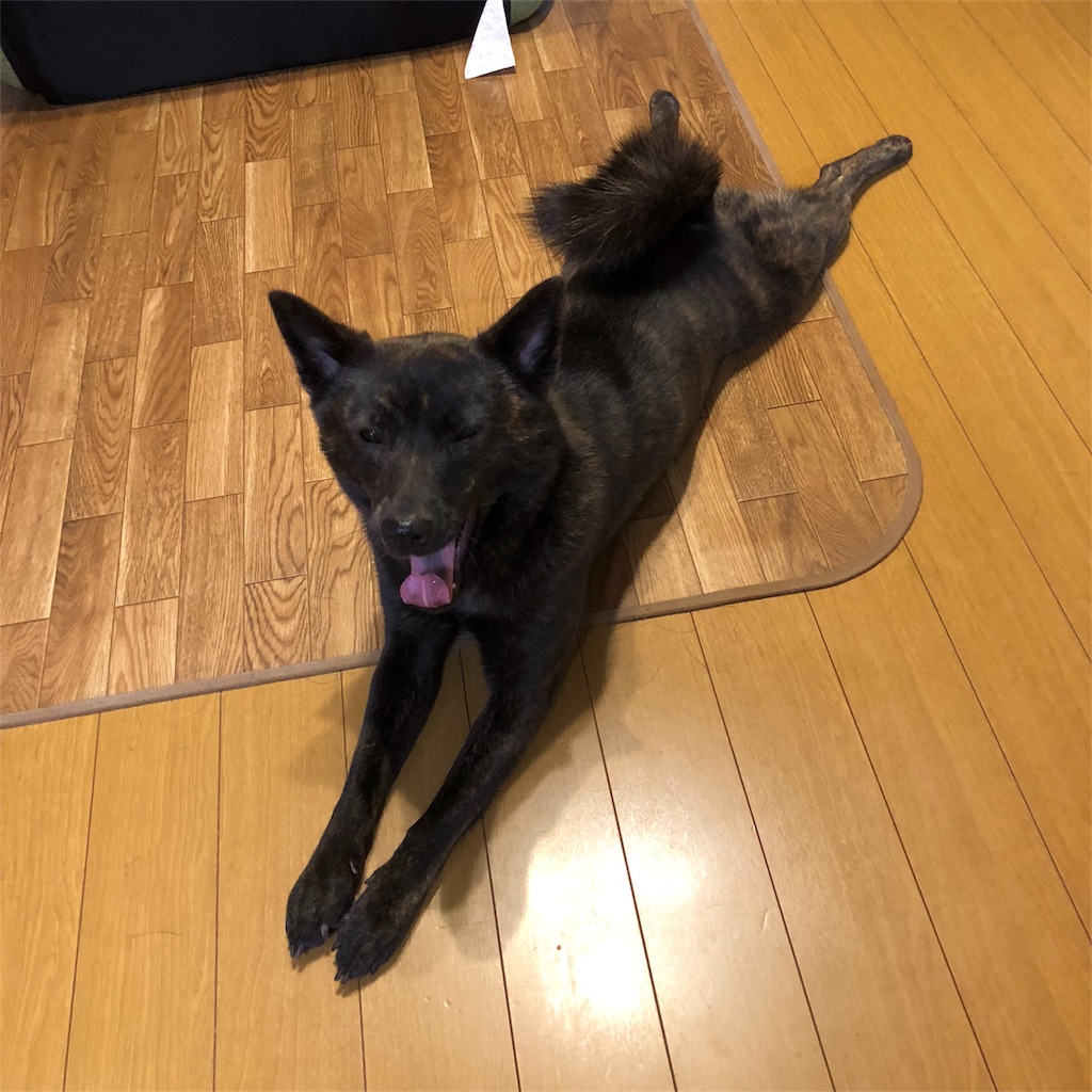 f:id:kai-koume:20180522132648j:image f:id:kai-koume:20180522132648j:image