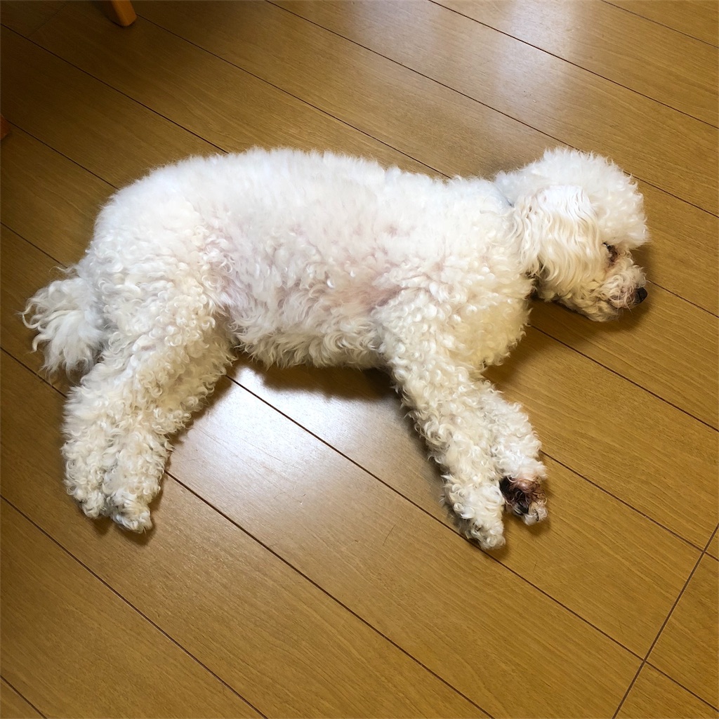 f:id:kai-koume:20180712054911j:image f:id:kai-koume:20180712054911j:image