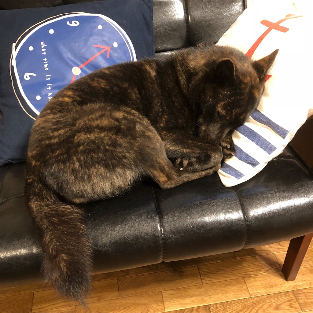 f:id:kai-koume:20180712073755j:image f:id:kai-koume:20180712073755j:image