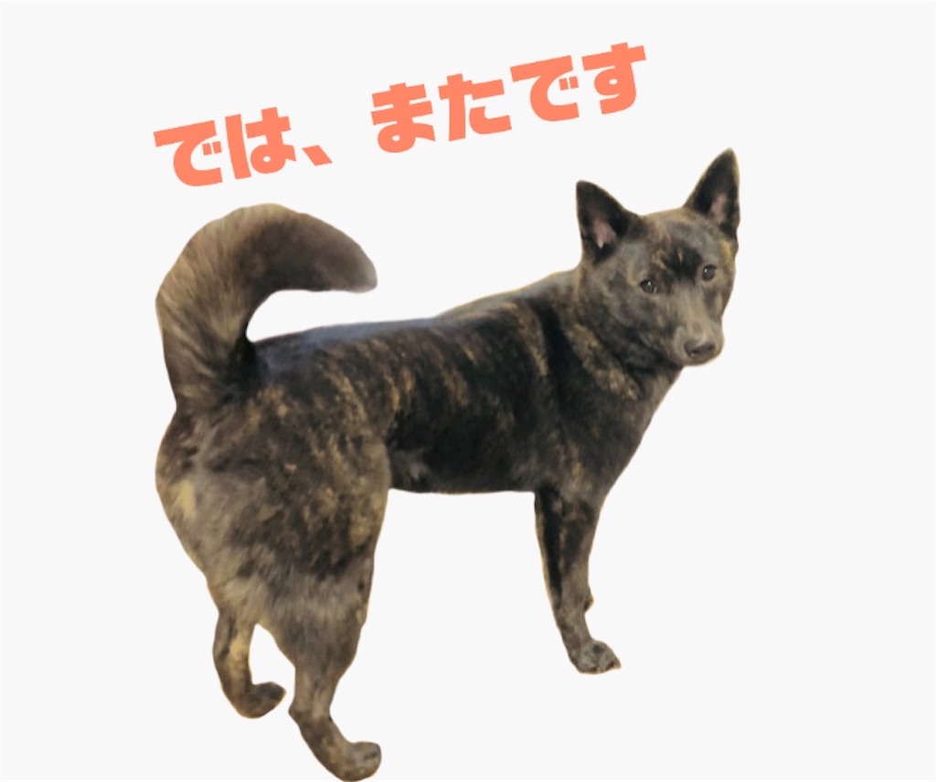 f:id:kai-koume:20180712074151j:image f:id:kai-koume:20180712074151j:image