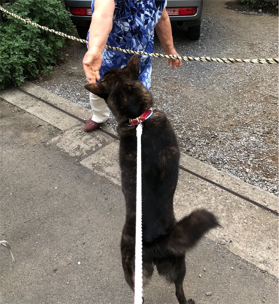 f:id:kai-koume:20180717065701j:image f:id:kai-koume:20180717065701j:image