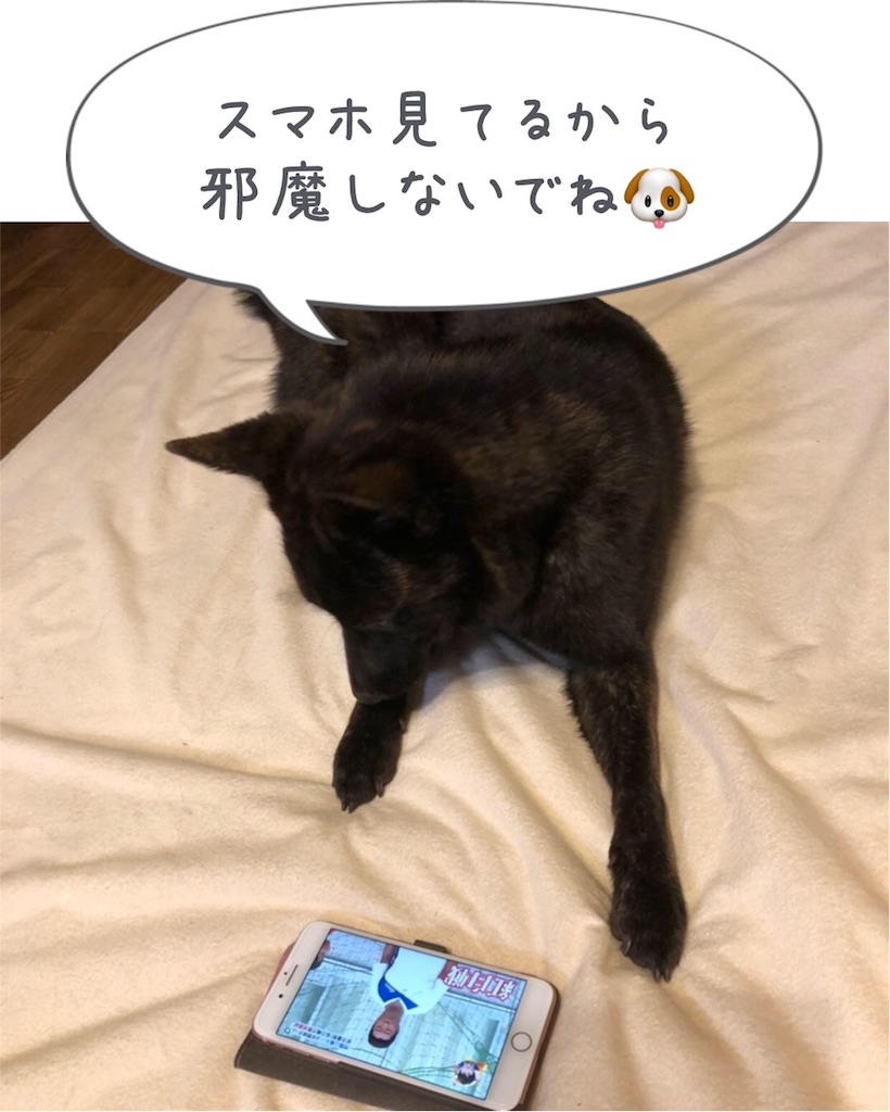 f:id:kai-koume:20180717065806j:image f:id:kai-koume:20180717065806j:image