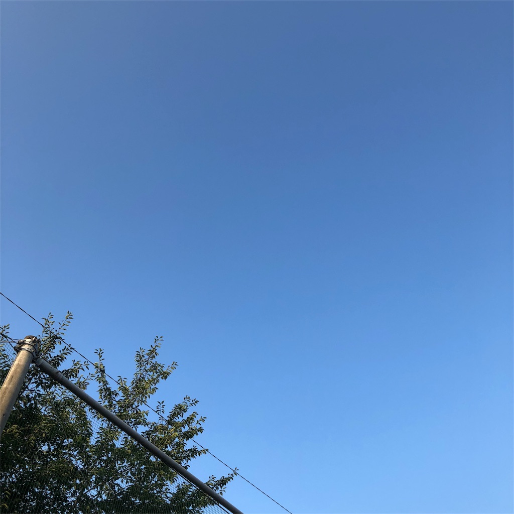 f:id:kai-koume:20180721073132j:image f:id:kai-koume:20180721073132j:image