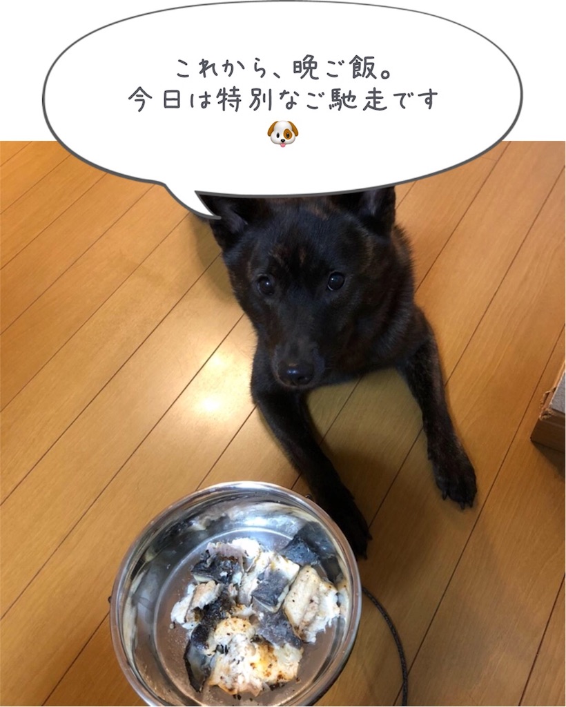 f:id:kai-koume:20180721093250j:image f:id:kai-koume:20180721093250j:image