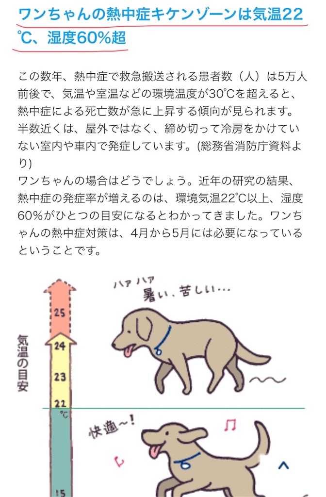 f:id:kai-koume:20180721094744j:image f:id:kai-koume:20180721094744j:image
