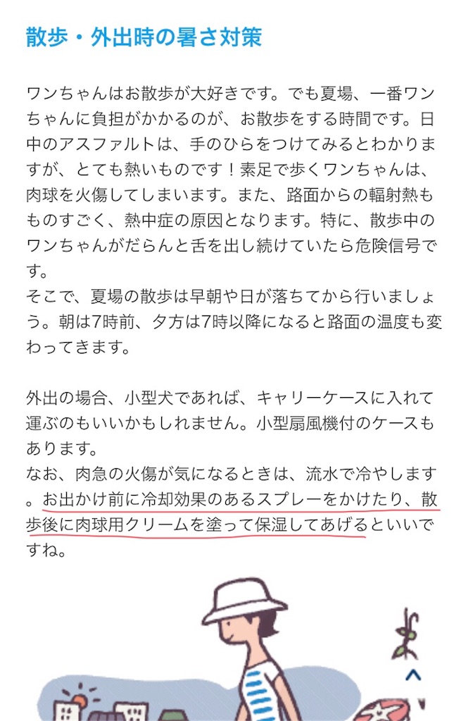 f:id:kai-koume:20180721094749j:image f:id:kai-koume:20180721094749j:image