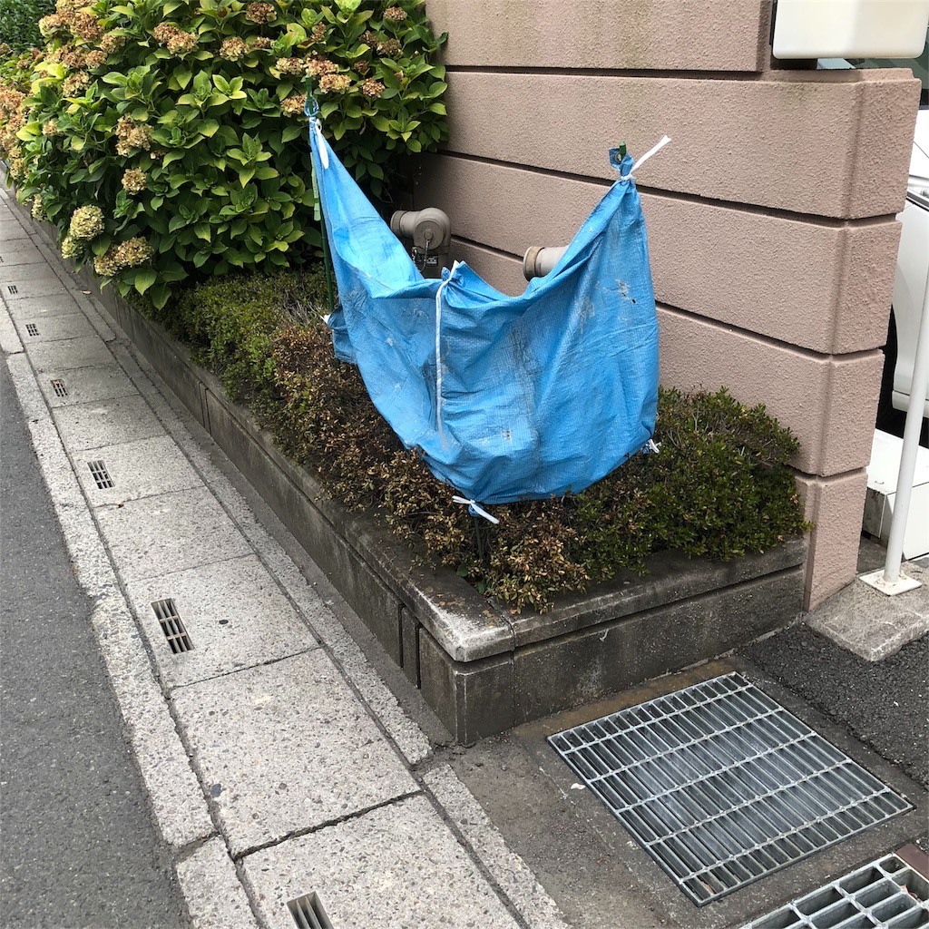 f:id:kai-koume:20180724080352j:image f:id:kai-koume:20180724080352j:image