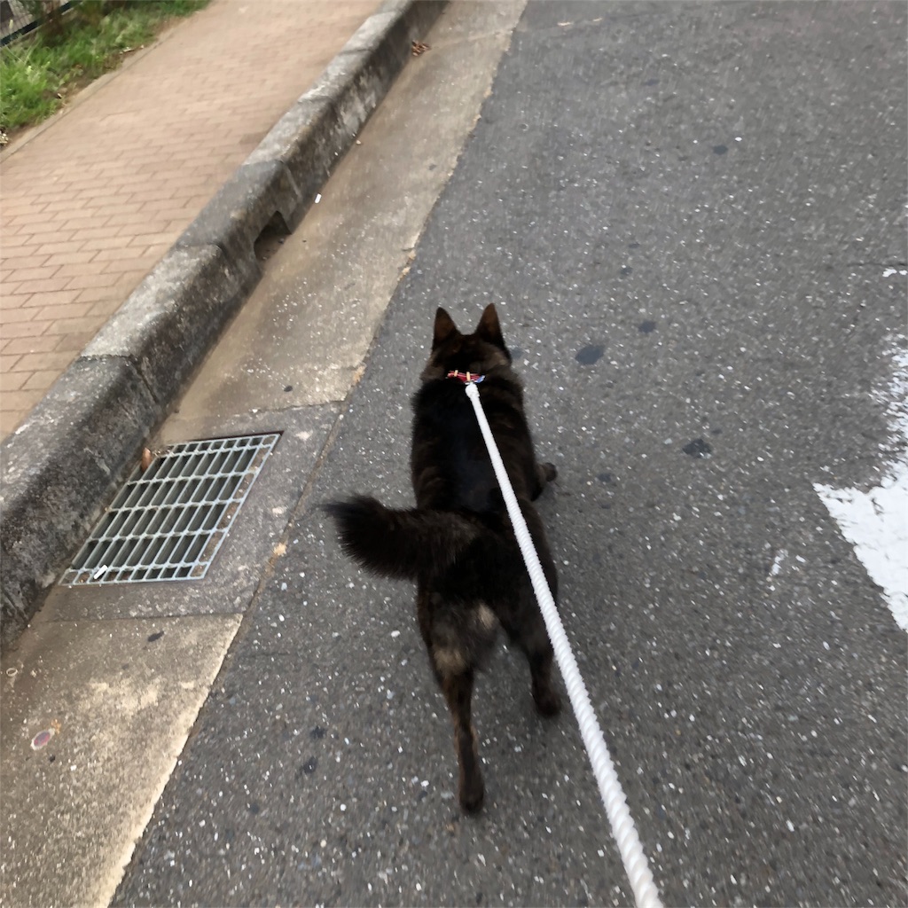 f:id:kai-koume:20180724081731j:image f:id:kai-koume:20180724081731j:image