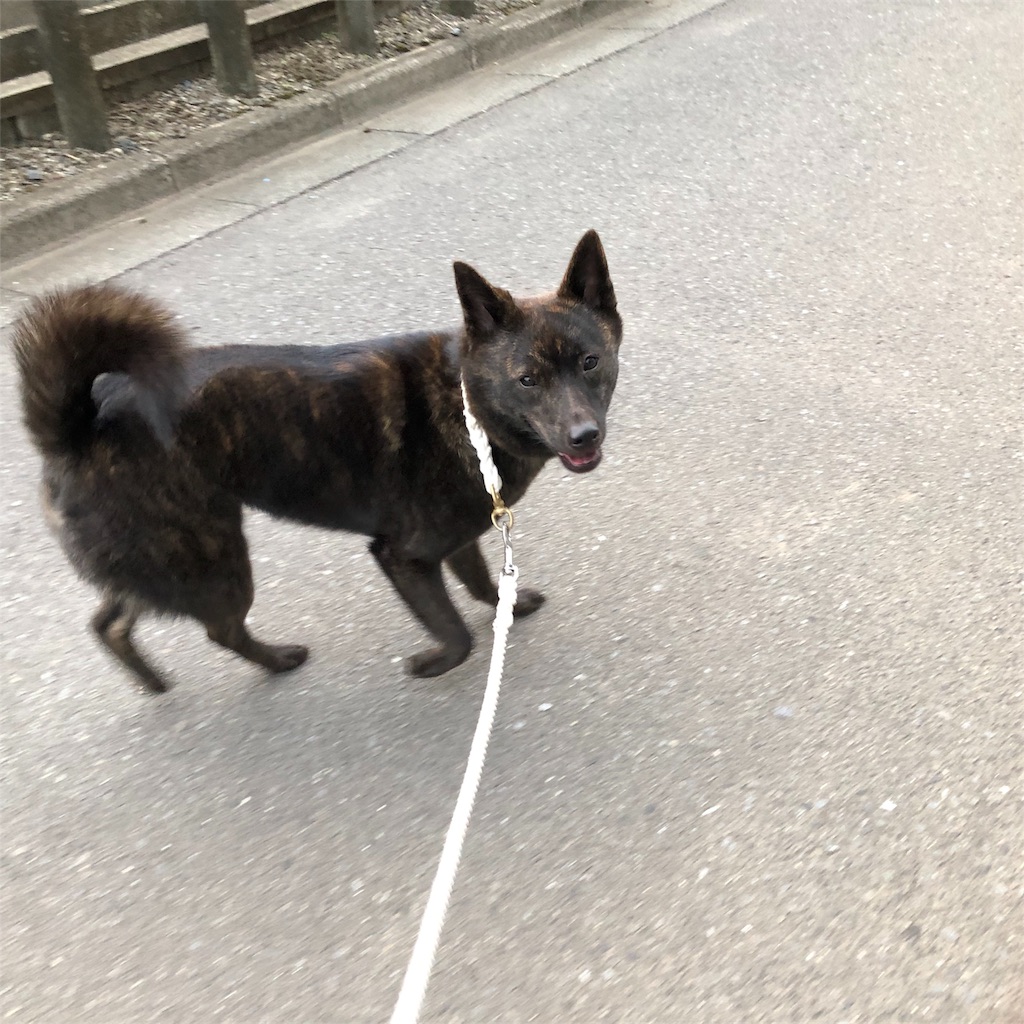 f:id:kai-koume:20180727130058j:image f:id:kai-koume:20180727130058j:image