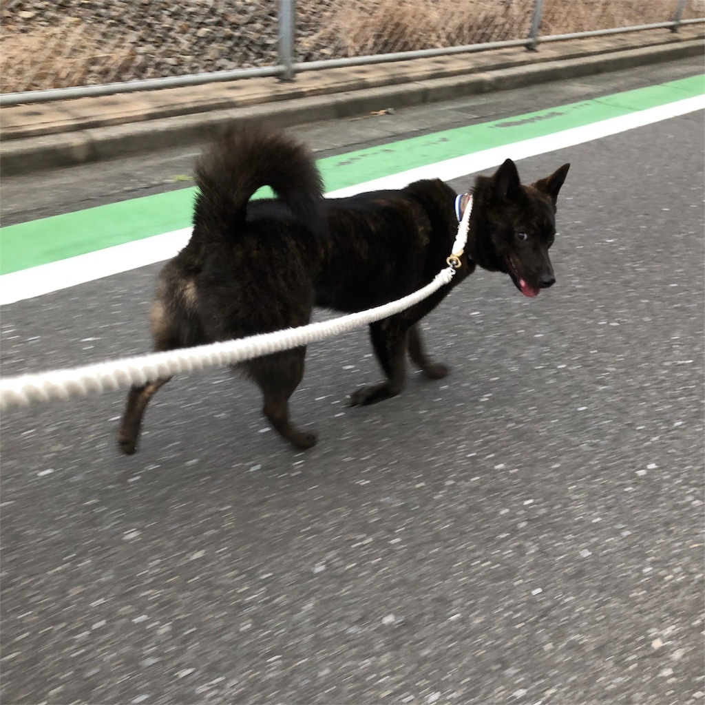 f:id:kai-koume:20180731080219j:image f:id:kai-koume:20180731080219j:image