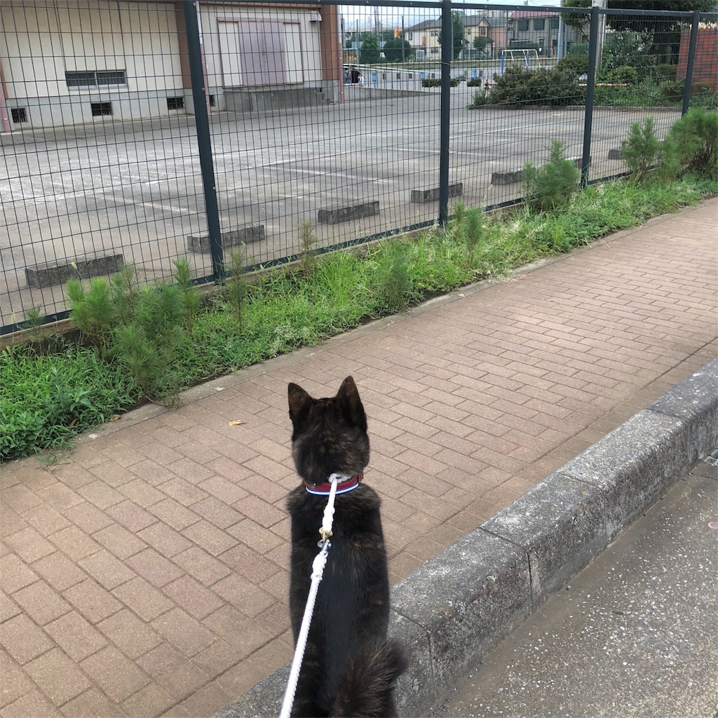 f:id:kai-koume:20180731081039j:image f:id:kai-koume:20180731081039j:image