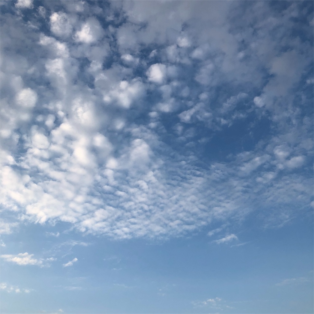 f:id:kai-koume:20180801080012j:image f:id:kai-koume:20180801080012j:image