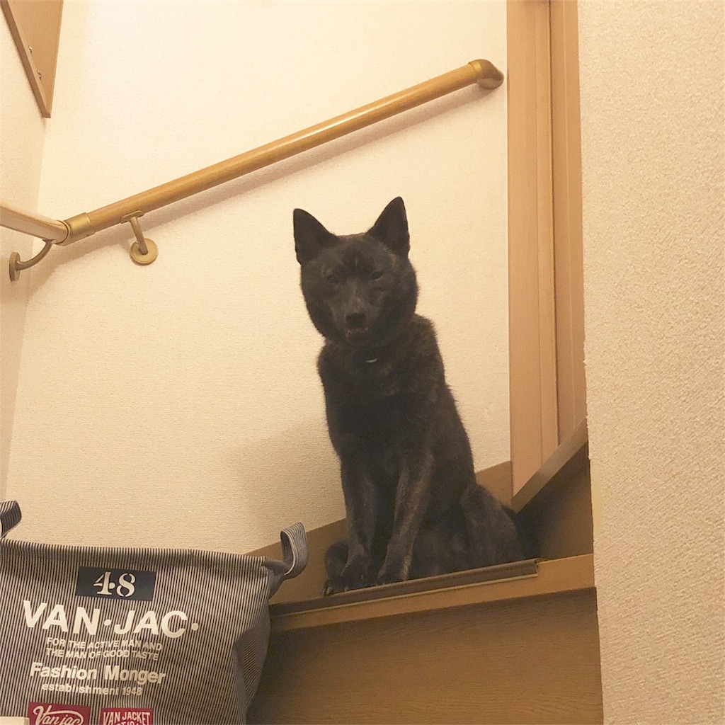 f:id:kai-koume:20180803075233j:image f:id:kai-koume:20180803075233j:image