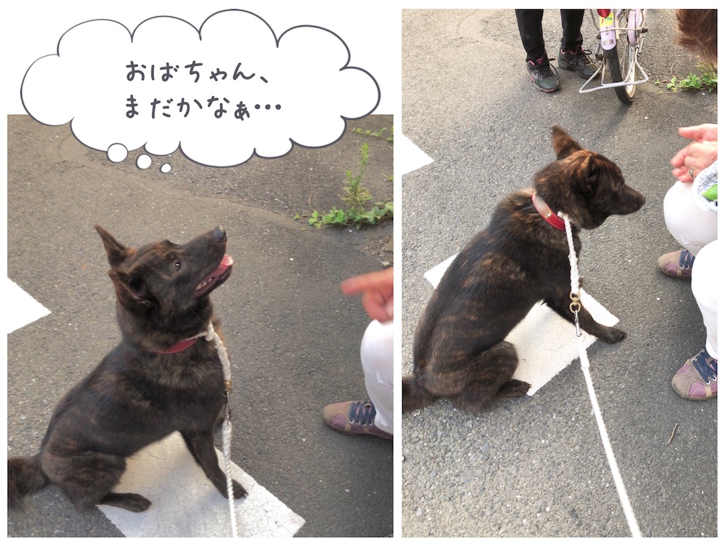 f:id:kai-koume:20180803080448j:image f:id:kai-koume:20180803080448j:image