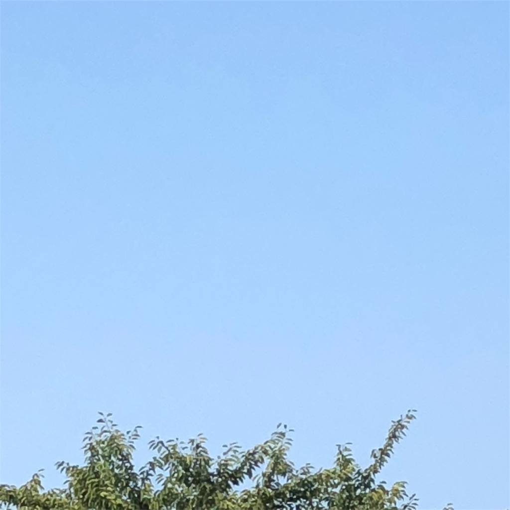 f:id:kai-koume:20180804200157j:image f:id:kai-koume:20180804200157j:image