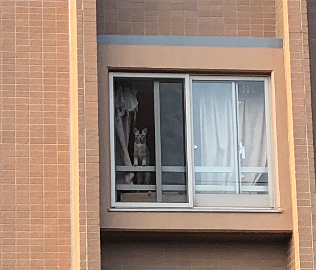 f:id:kai-koume:20180804200449j:image f:id:kai-koume:20180804200449j:image