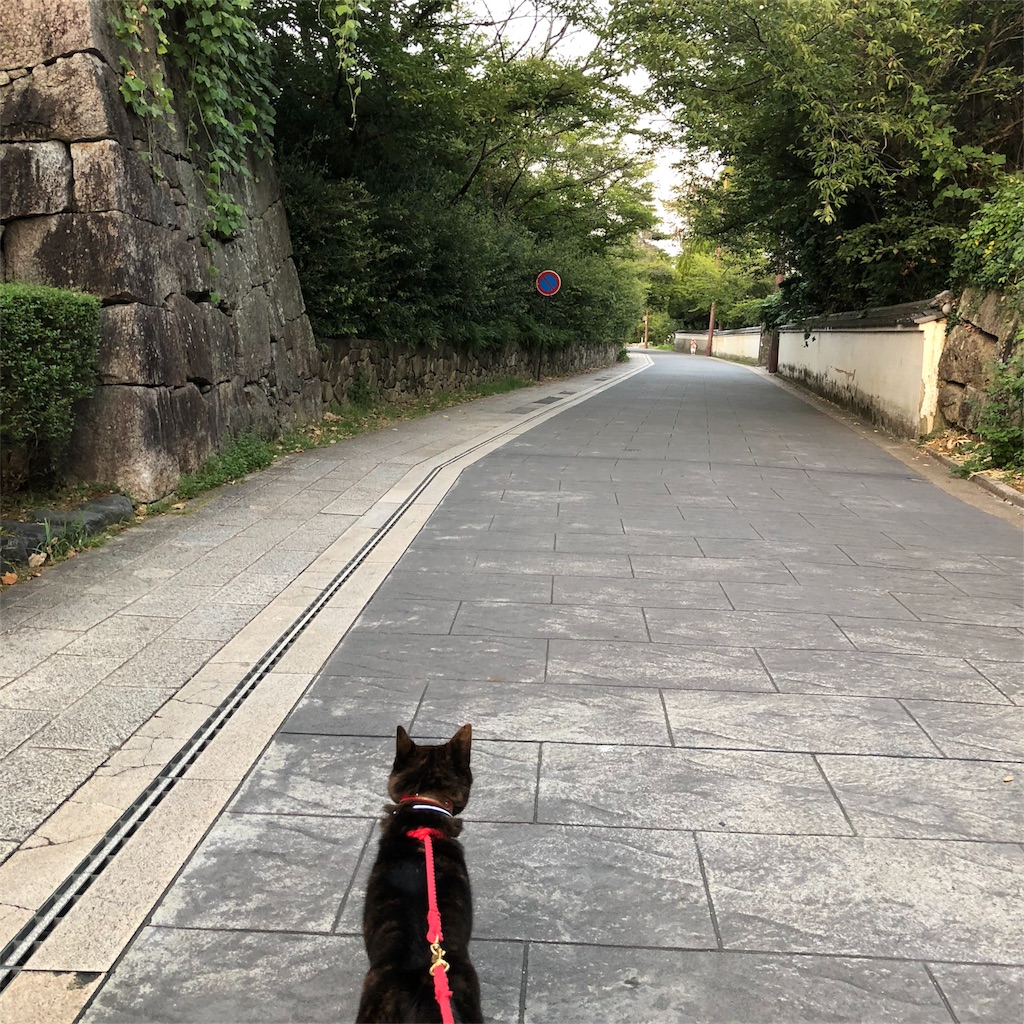 f:id:kai-koume:20180808202237j:image f:id:kai-koume:20180808202237j:image
