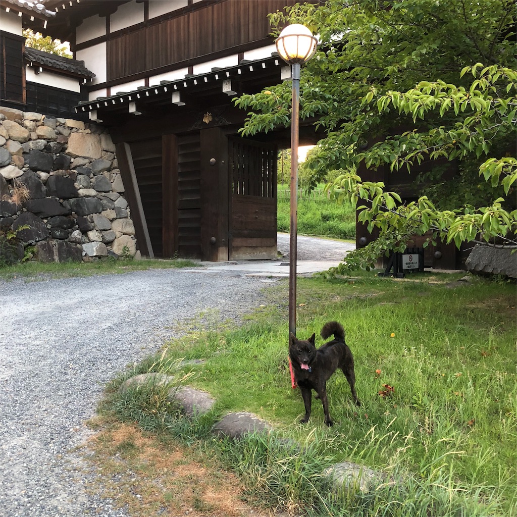 f:id:kai-koume:20180808202302j:image f:id:kai-koume:20180808202302j:image