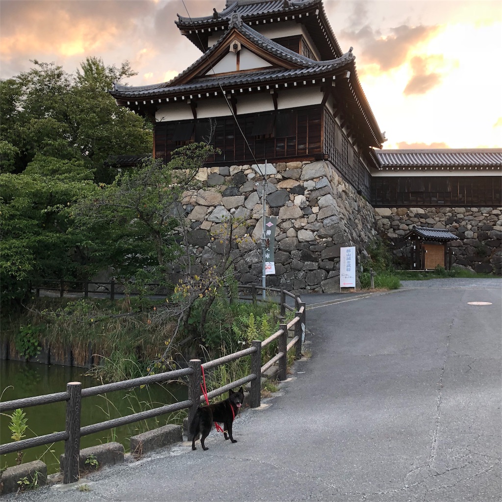 f:id:kai-koume:20180808202341j:image f:id:kai-koume:20180808202341j:image