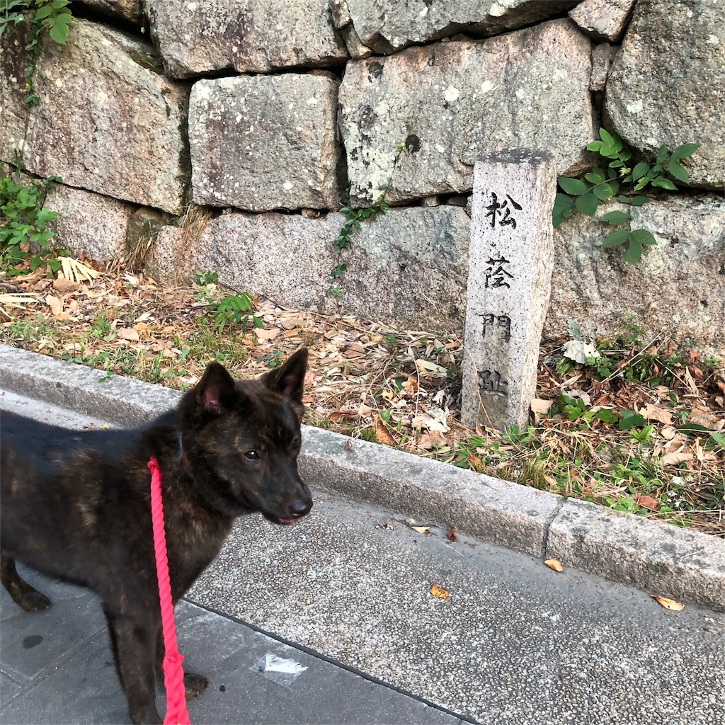 f:id:kai-koume:20180808202413j:image f:id:kai-koume:20180808202413j:image