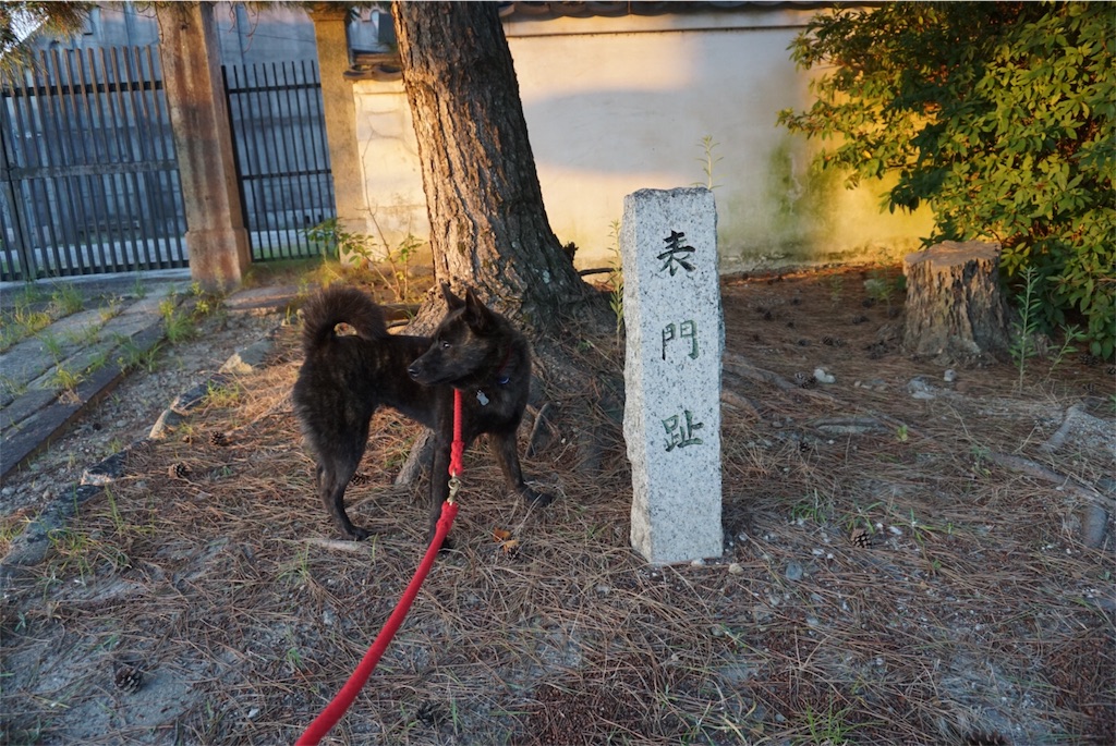 f:id:kai-koume:20180808202418j:image f:id:kai-koume:20180808202418j:image