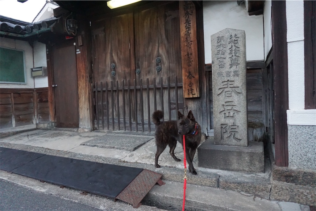 f:id:kai-koume:20180808202723j:image f:id:kai-koume:20180808202723j:image