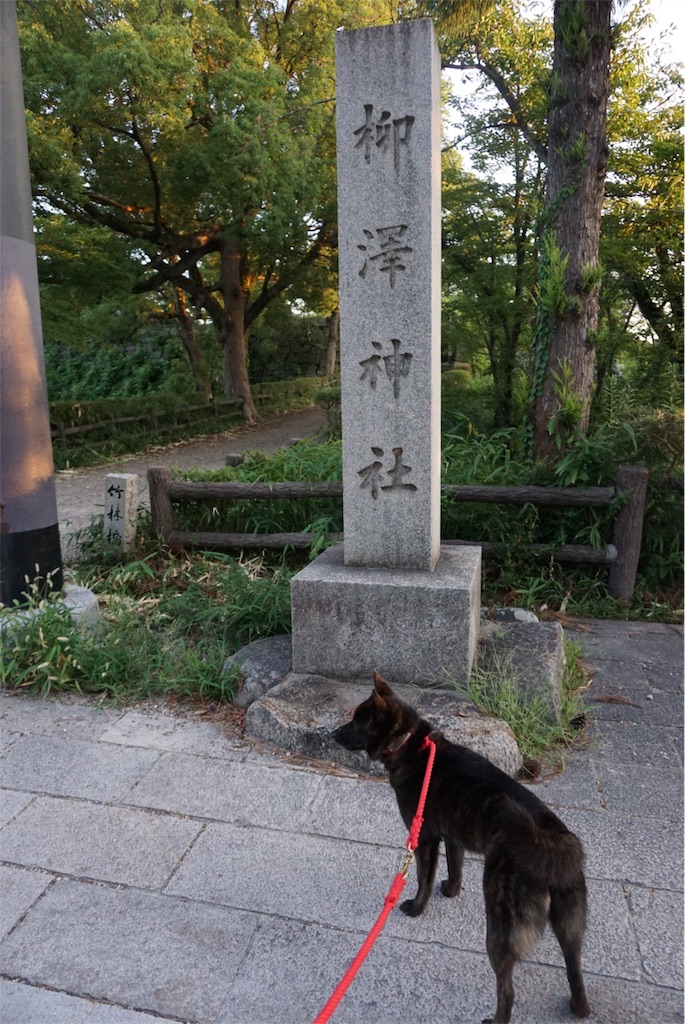 f:id:kai-koume:20180808202727j:image f:id:kai-koume:20180808202727j:image