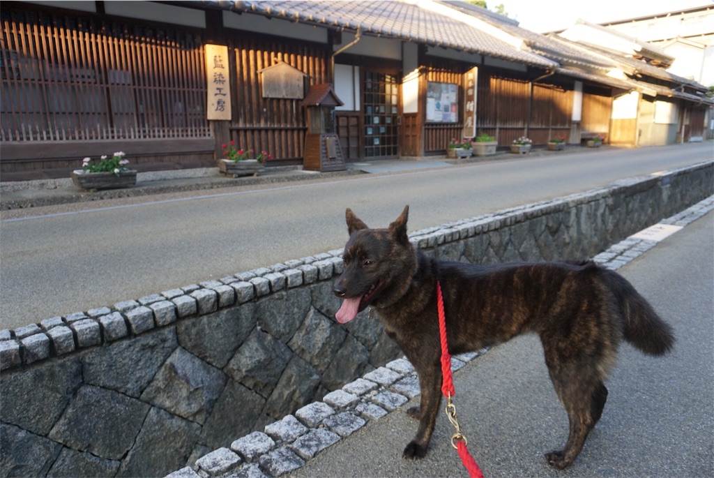 f:id:kai-koume:20180808203238j:image f:id:kai-koume:20180808203238j:image