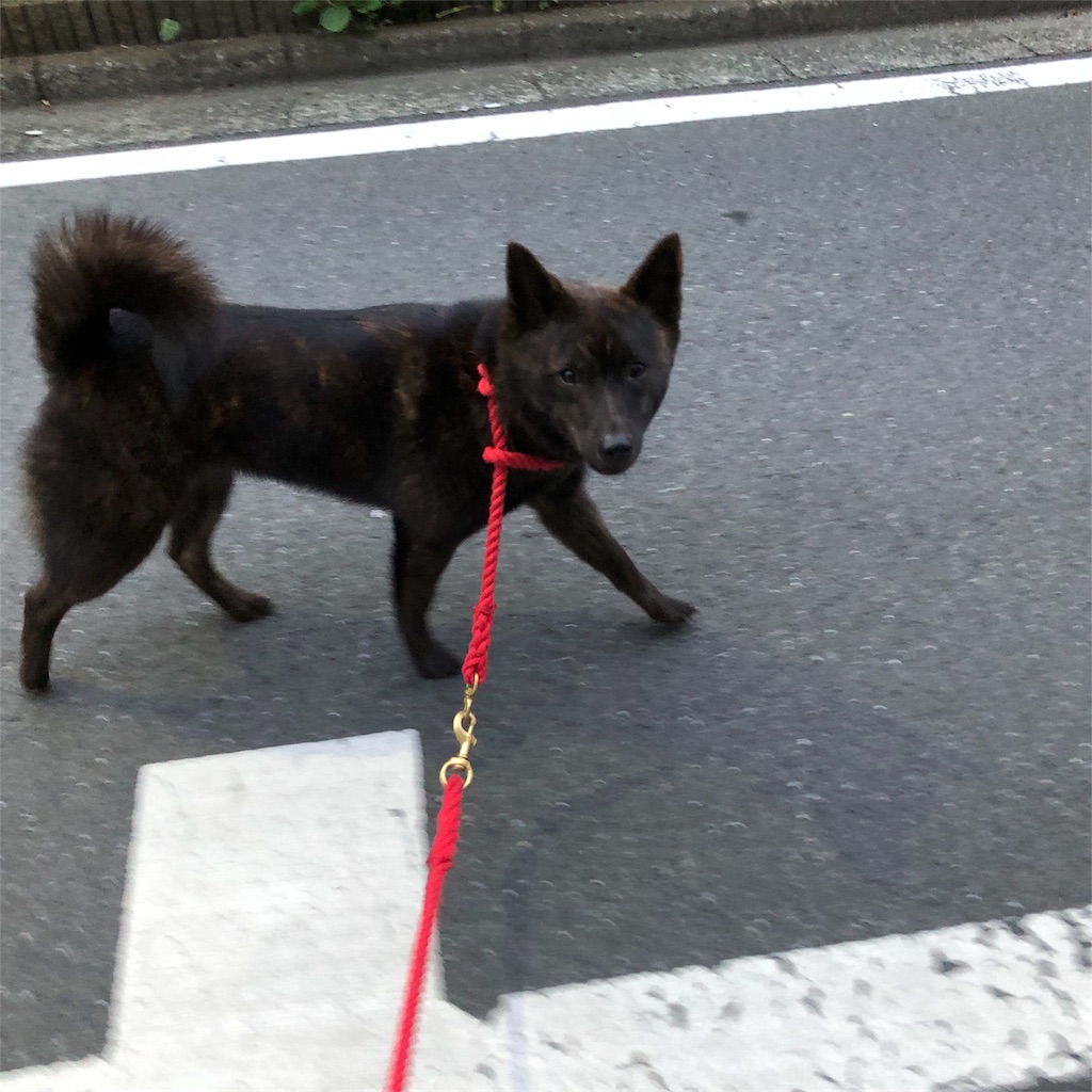 f:id:kai-koume:20180821073004j:image f:id:kai-koume:20180821073004j:image