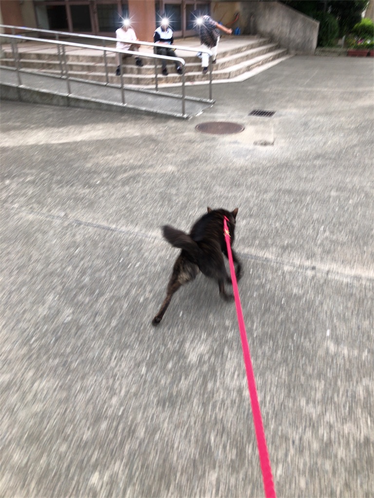 f:id:kai-koume:20180821074023j:image f:id:kai-koume:20180821074023j:image