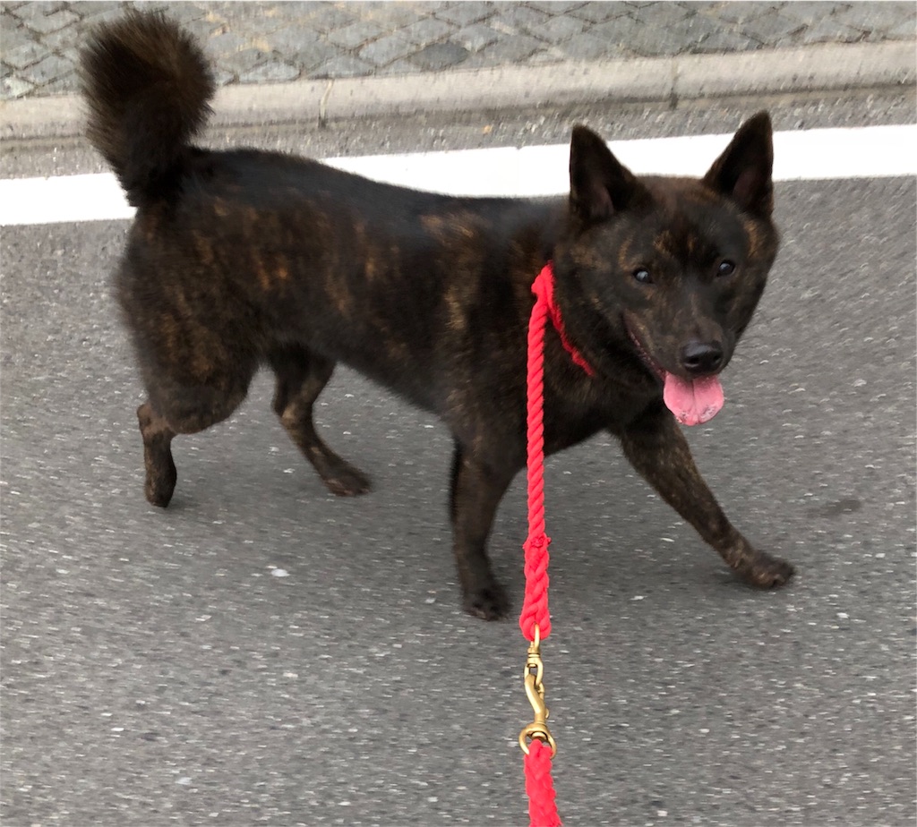 f:id:kai-koume:20180821074625j:image f:id:kai-koume:20180821074625j:image