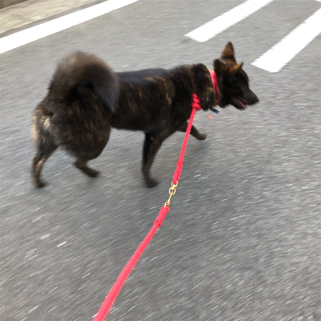 f:id:kai-koume:20180825085452j:image f:id:kai-koume:20180825085452j:image