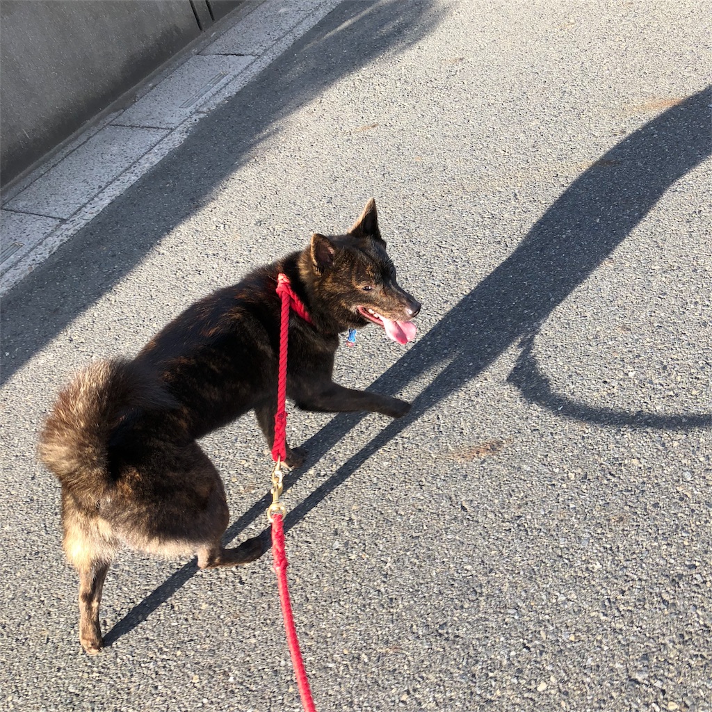 f:id:kai-koume:20180825092041j:image f:id:kai-koume:20180825092041j:image