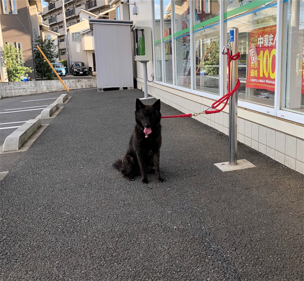 f:id:kai-koume:20180825092154j:image f:id:kai-koume:20180825092154j:image
