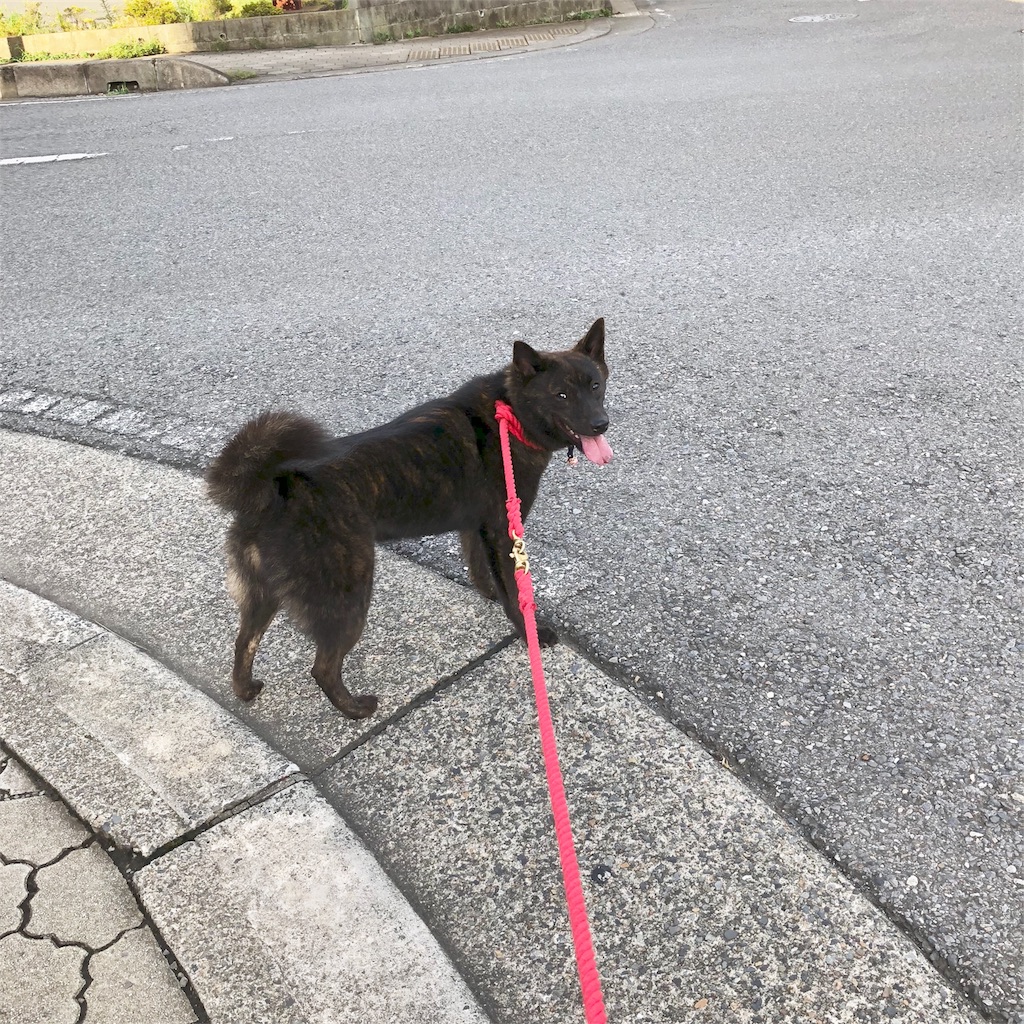 f:id:kai-koume:20180825101738j:image f:id:kai-koume:20180825101738j:image