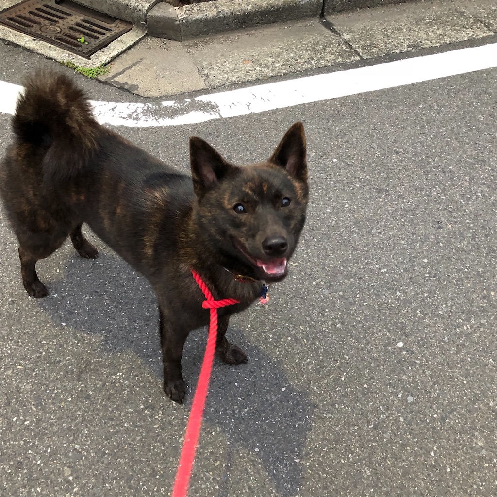 f:id:kai-koume:20180829073321j:image f:id:kai-koume:20180829073321j:image