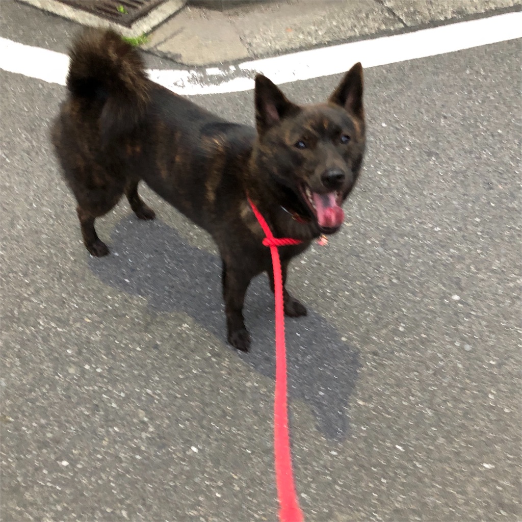 f:id:kai-koume:20180829073359j:image f:id:kai-koume:20180829073359j:image