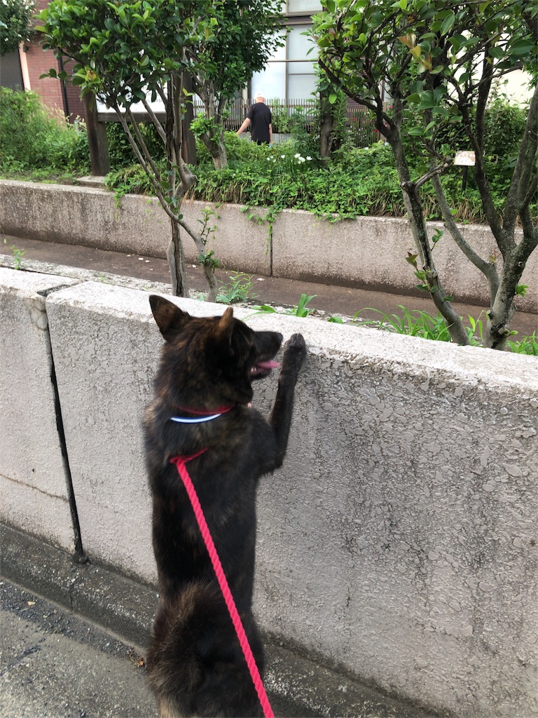 f:id:kai-koume:20180910063818j:image f:id:kai-koume:20180910063818j:image