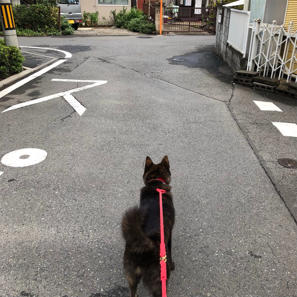 f:id:kai-koume:20180910064304j:image f:id:kai-koume:20180910064304j:image