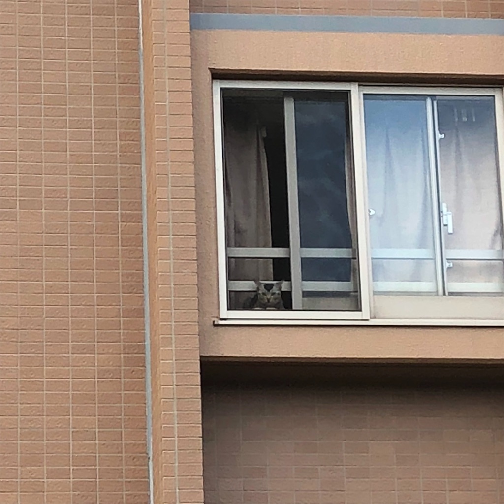 f:id:kai-koume:20180910064337j:image f:id:kai-koume:20180910064337j:image