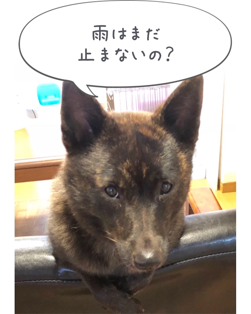 f:id:kai-koume:20180922090614j:image f:id:kai-koume:20180922090614j:image
