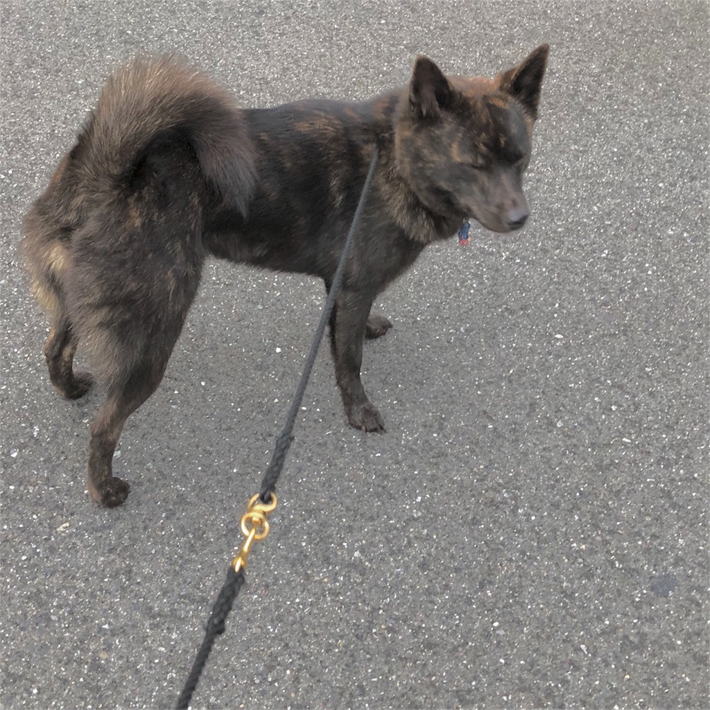 f:id:kai-koume:20180923134114j:image f:id:kai-koume:20180923134114j:image