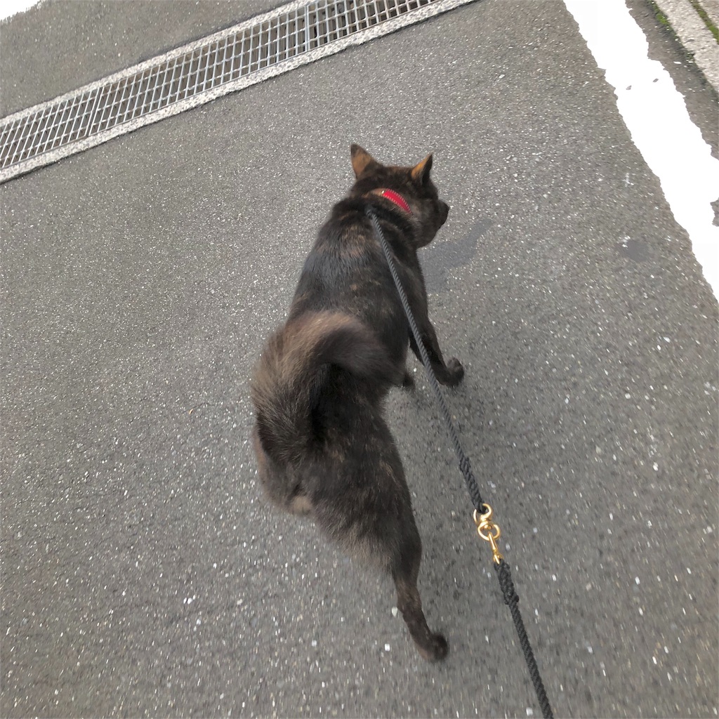 f:id:kai-koume:20180923134202j:image f:id:kai-koume:20180923134202j:image
