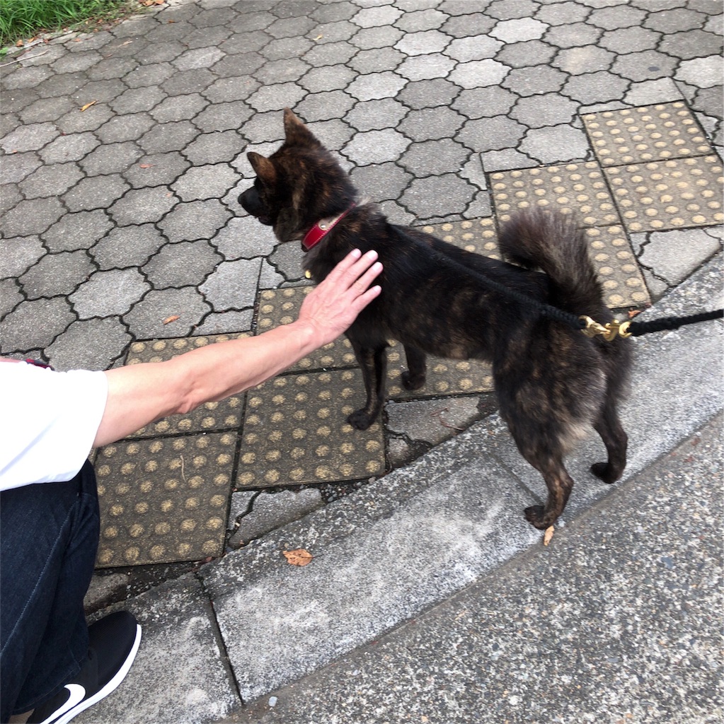f:id:kai-koume:20180923134645j:image f:id:kai-koume:20180923134645j:image