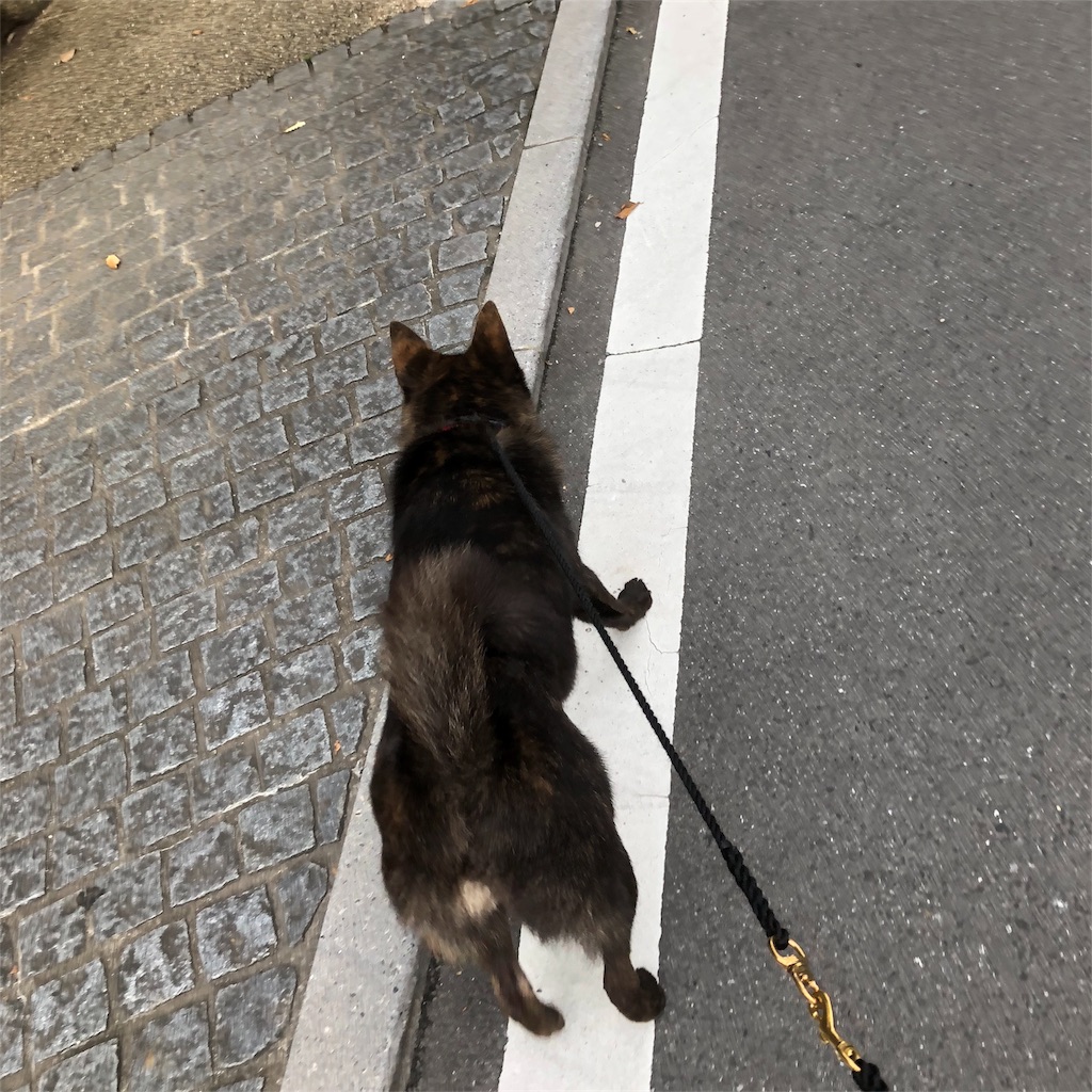 f:id:kai-koume:20180923134821j:image f:id:kai-koume:20180923134821j:image
