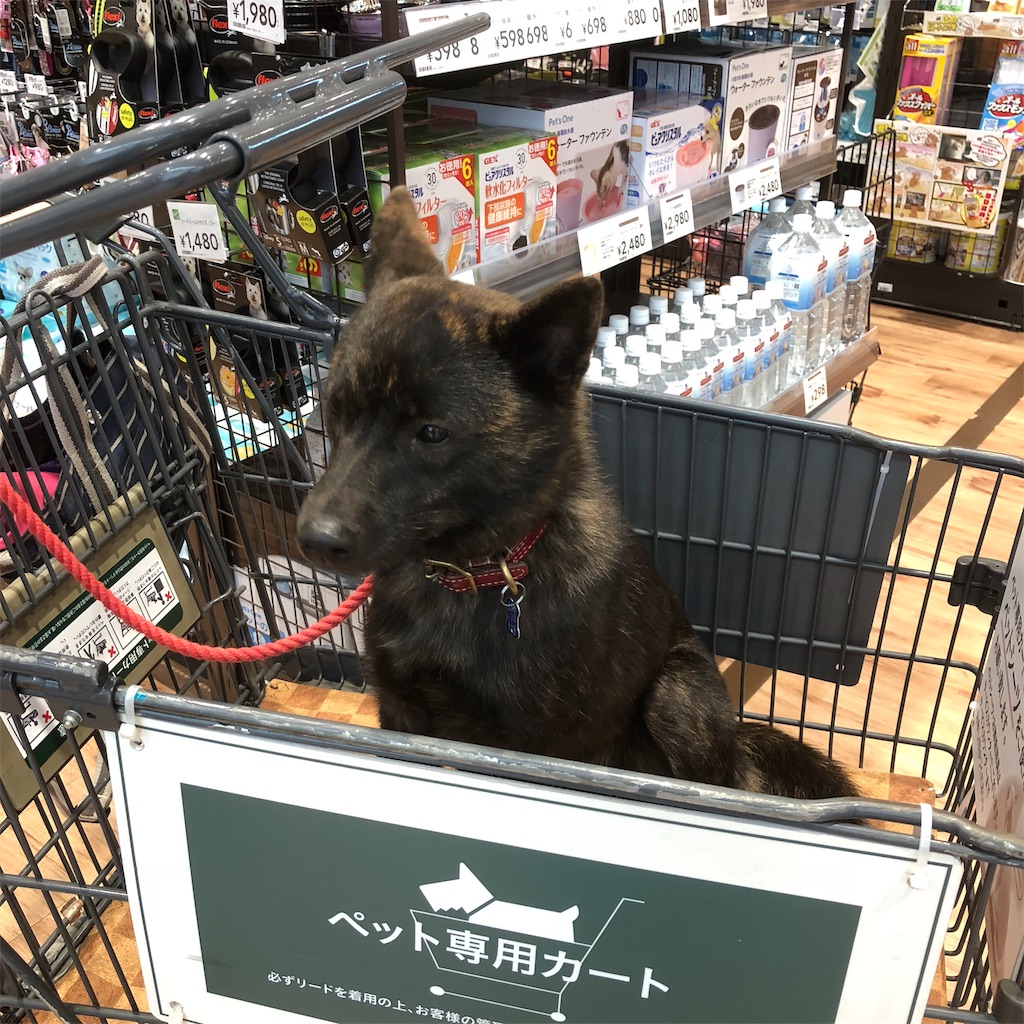 f:id:kai-koume:20181001063334j:image f:id:kai-koume:20181001063334j:image