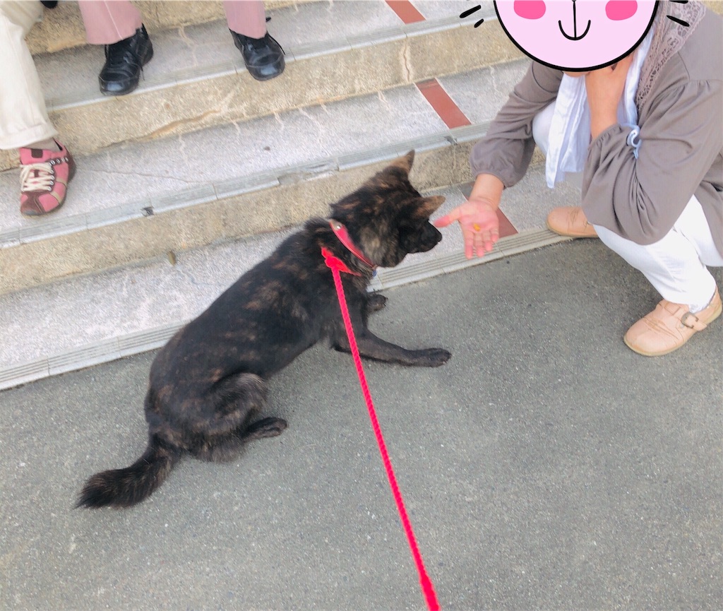 f:id:kai-koume:20181002075940j:image f:id:kai-koume:20181002075940j:image