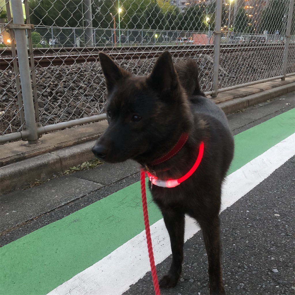 f:id:kai-koume:20181003074244j:image f:id:kai-koume:20181003074244j:image