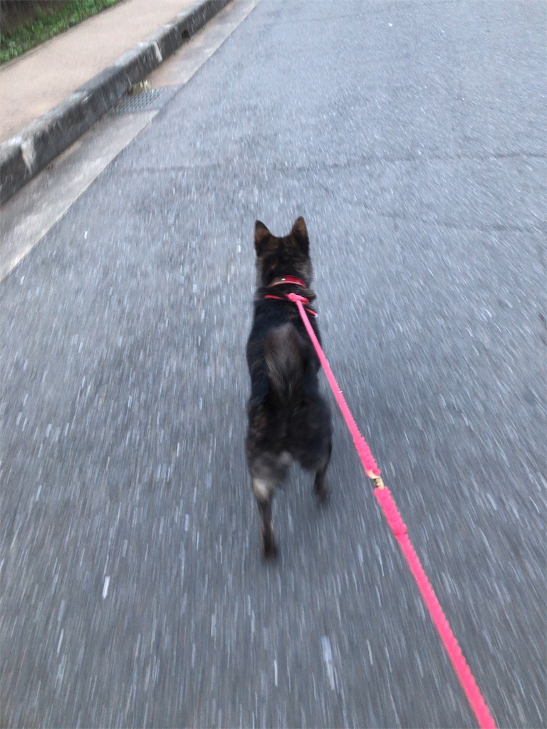 f:id:kai-koume:20181003074908j:image f:id:kai-koume:20181003074908j:image